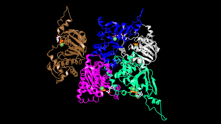 Computer graphic of protein.