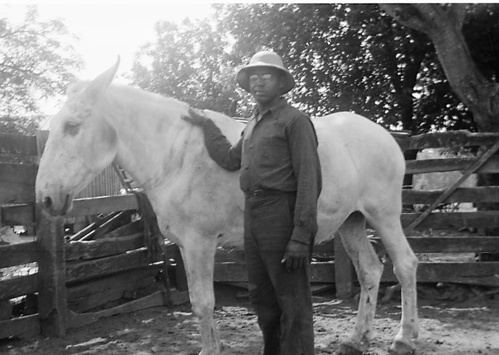 New Farmers of America Member, ca. 1970, from the New Farmers of America Collection, Archives and Special Collections, F. D. Bluford Library, North Carolina A&T State University 