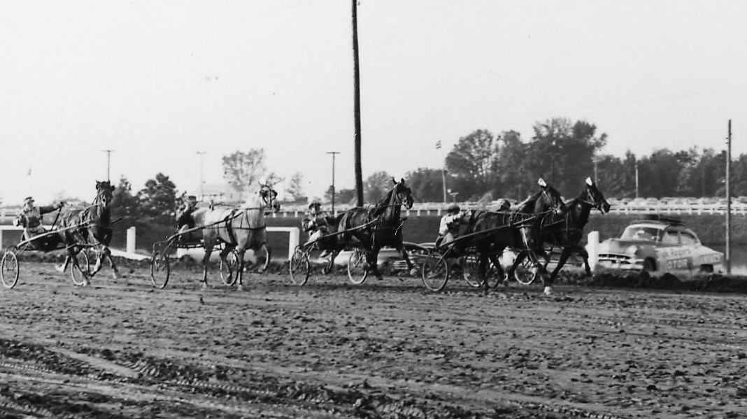 NC State Fairgrounds, Horse Cart Racing (1956), from CALS Communications Photographs (UA 100.099)